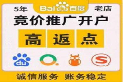 深度解析：百度竞价广告的投放效果与ROI